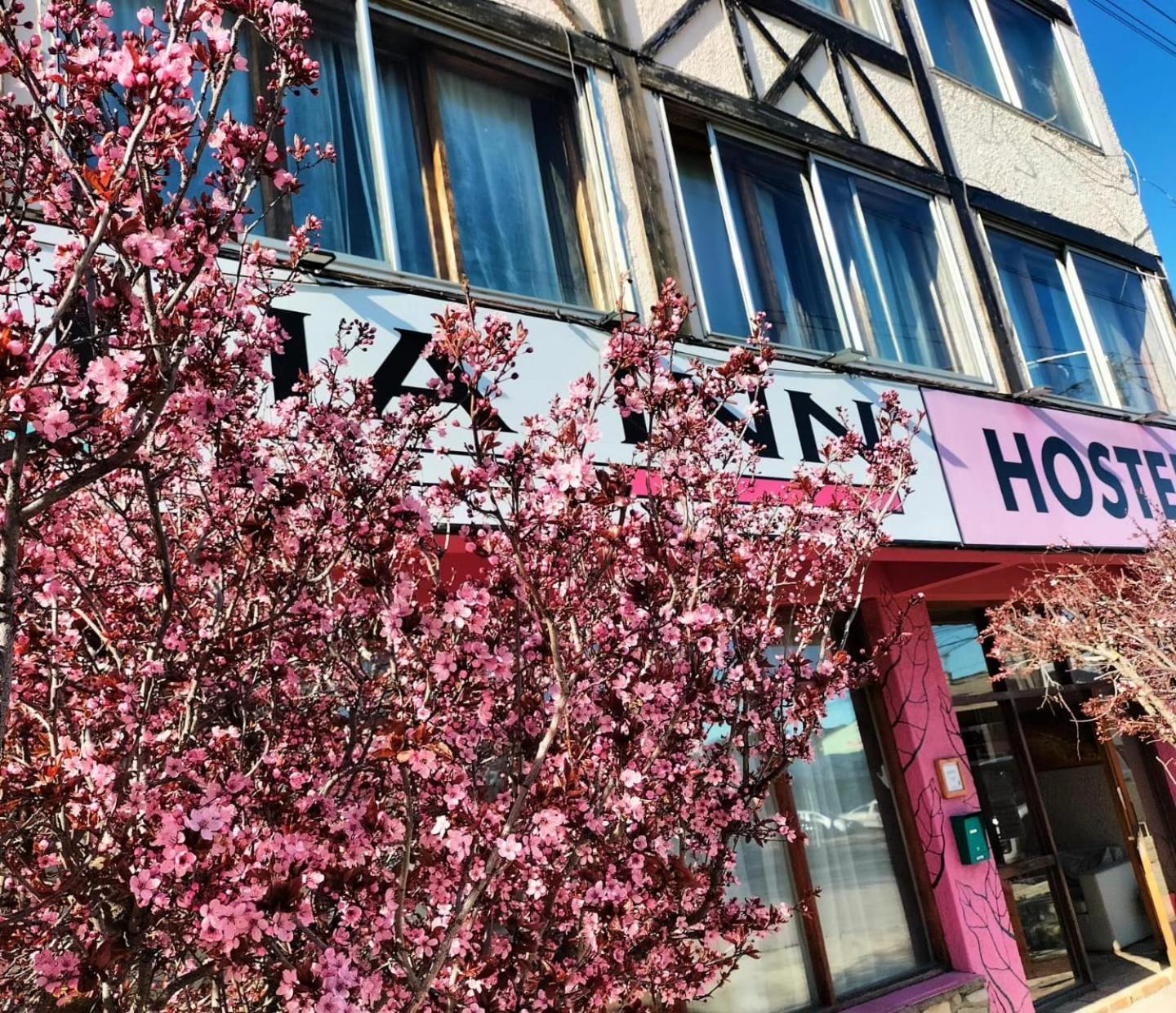 Italia Inn Hostel サンカルロスデバリローチェ エクステリア 写真